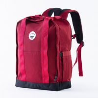 Dex 2.0 Backpack