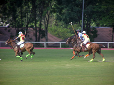 places to ride a horse in kualalumpur Bukit Kiara Polo