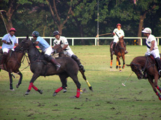 places to ride a horse in kualalumpur Bukit Kiara Polo