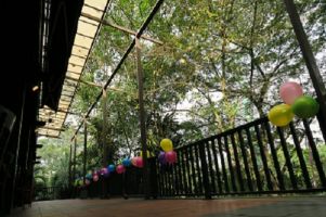 lovebirds kualalumpur Taman Burung Kuala Lumpur