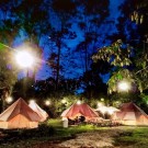 tents canapes varied kualalumpur Canopy Villa Glamping Park