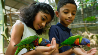 farmhouses with animals in kualalumpur Farm In The City