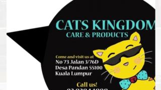 cat trainers in kualalumpur Cats Kingdom Care & Products