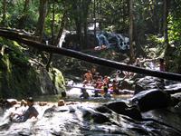 natural waterfalls in kualalumpur Sungai Tekala Waterfall
