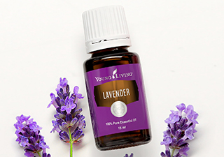 stores where to buy patchouli kualalumpur Young Living Malaysia Sdn Bhd