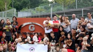 dog handlers in kualalumpur G-Pet.com