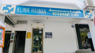 veterinary clinics in kualalumpur Damansara Heights Veterinary Clinic