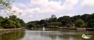 panorama lake gardens